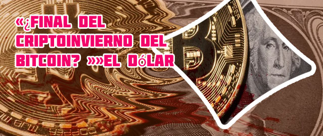 Bitcoin preço dolar