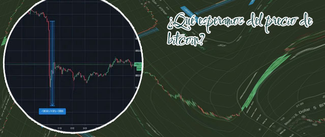 Cotizacion del bitcoin historico